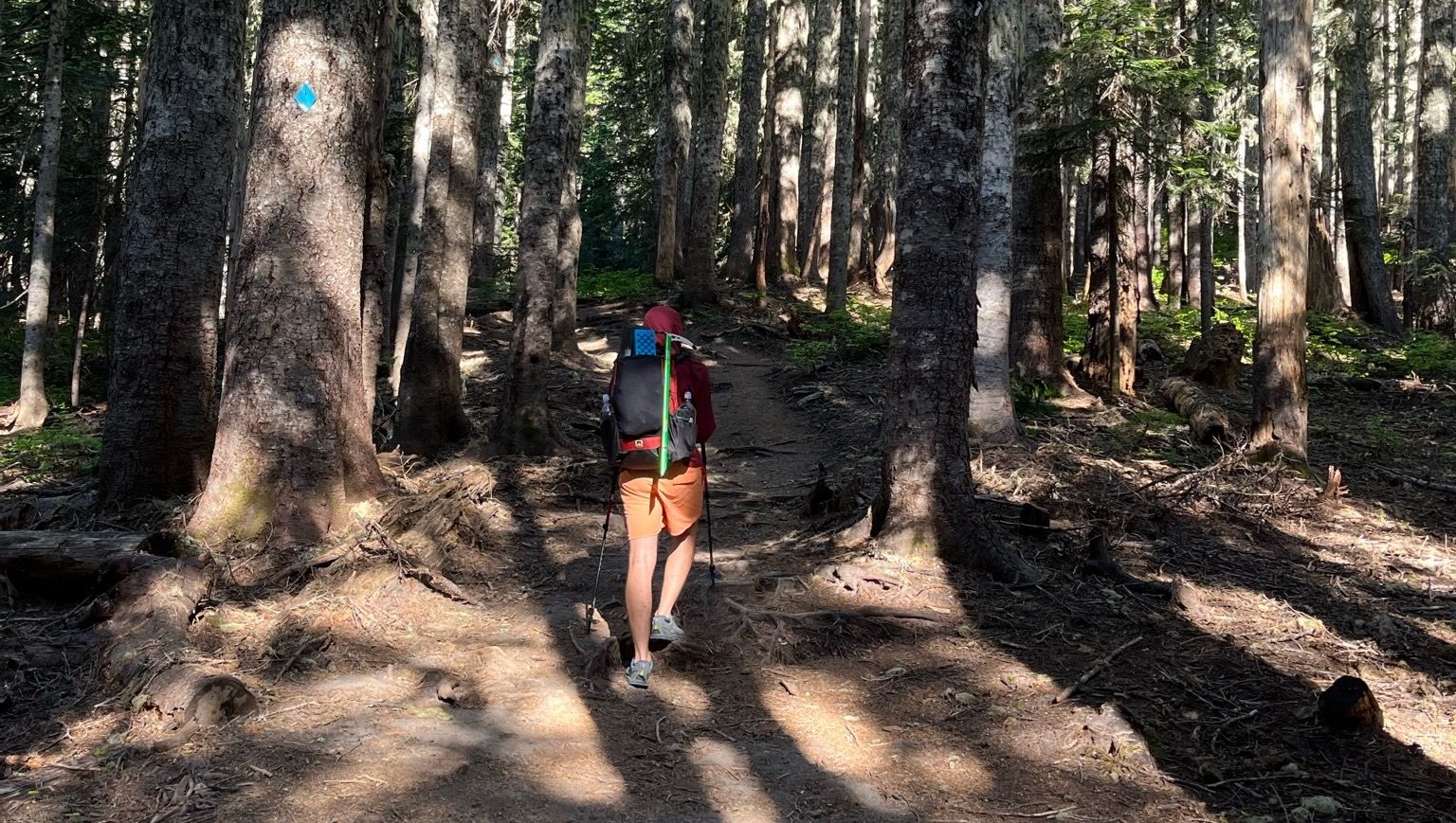 Picture of a person hiking through the woods, wearing a backpack with an ice axe attached. 